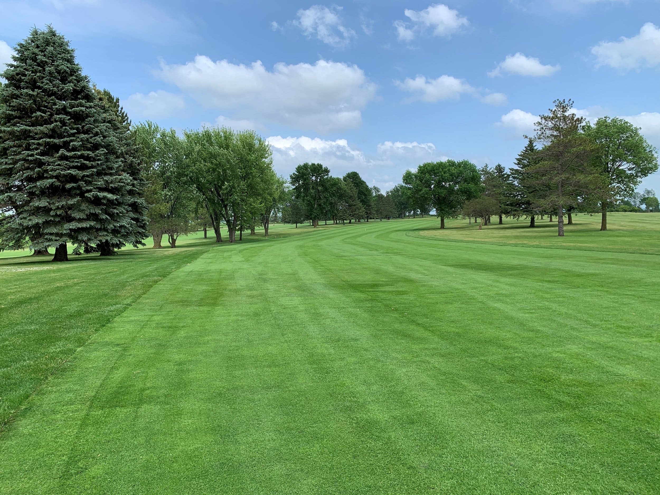 Course Information – Oakdale Golf Club – Buffalo Lake, MN