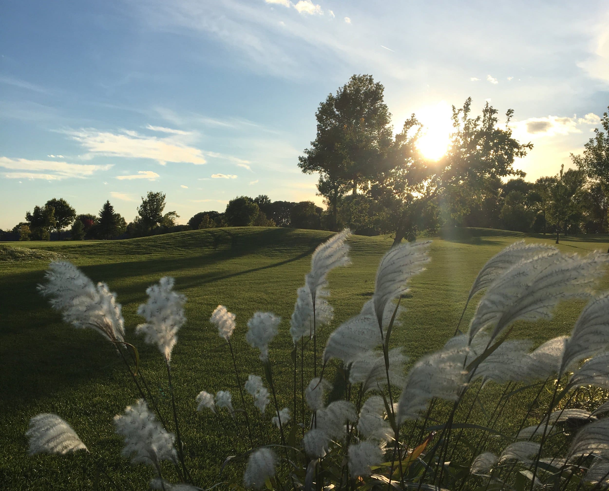 Course Information Oakdale Golf Club Buffalo Lake MN Course Information Oakdale Golf Club Buffalo Lake MN